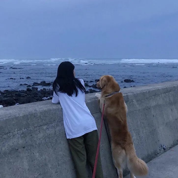 一人一狗望海边的照片图片